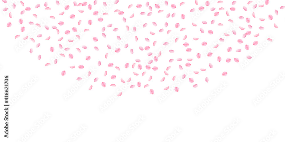 Sakura petals falling down. Romantic pink silky small flowers. Sparse flying cherry petals. Wide top