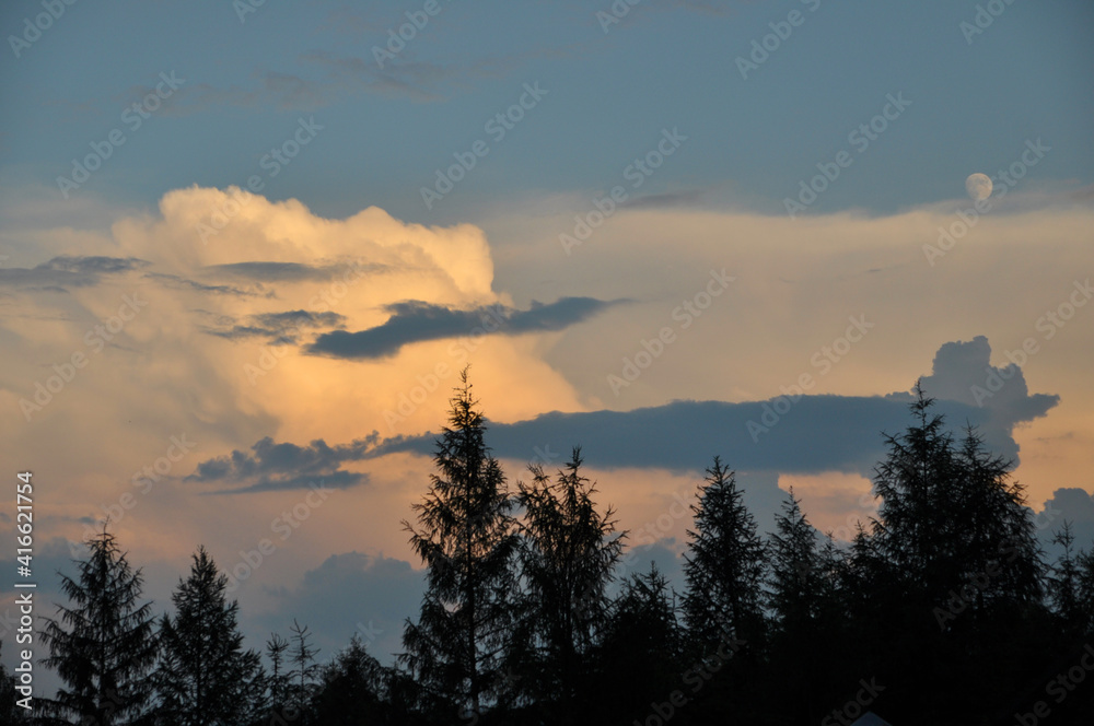 clouds and moon over the spruces
