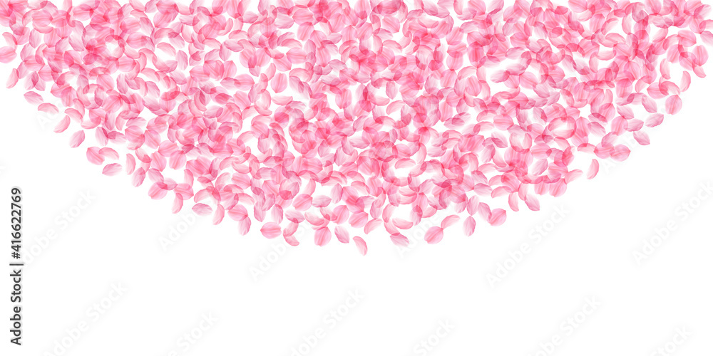 Sakura petals falling down. Romantic pink silky medium flowers. Thick flying cherry petals. Wide top