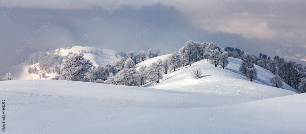 Amazing view of mountains range and snow-capped peaks in winter time. Forest with frost glowing with bright warm sunrise light