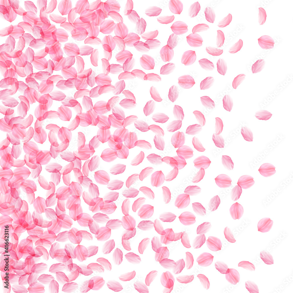 Sakura petals falling down. Romantic pink silky medium flowers. Thick flying cherry petals. Left gra