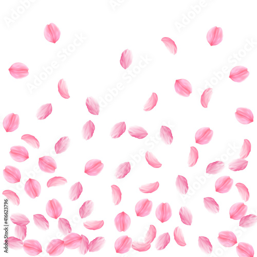 Sakura petals falling down. Romantic pink silky medium flowers. Sparse flying cherry petals. Bottom