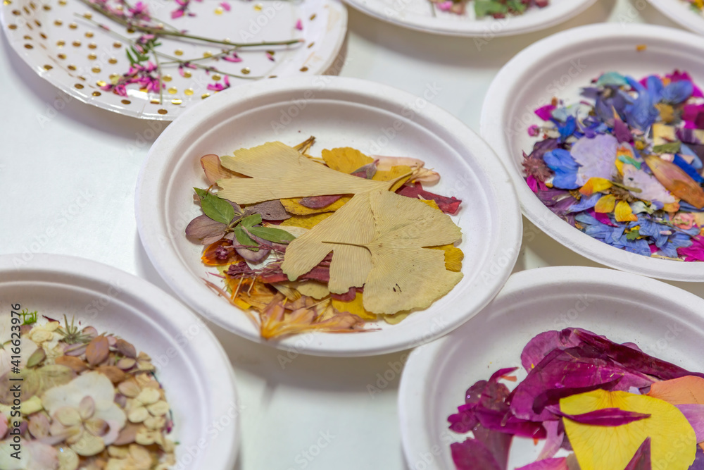 Dry herbs and flower petals for design, decor and creativity