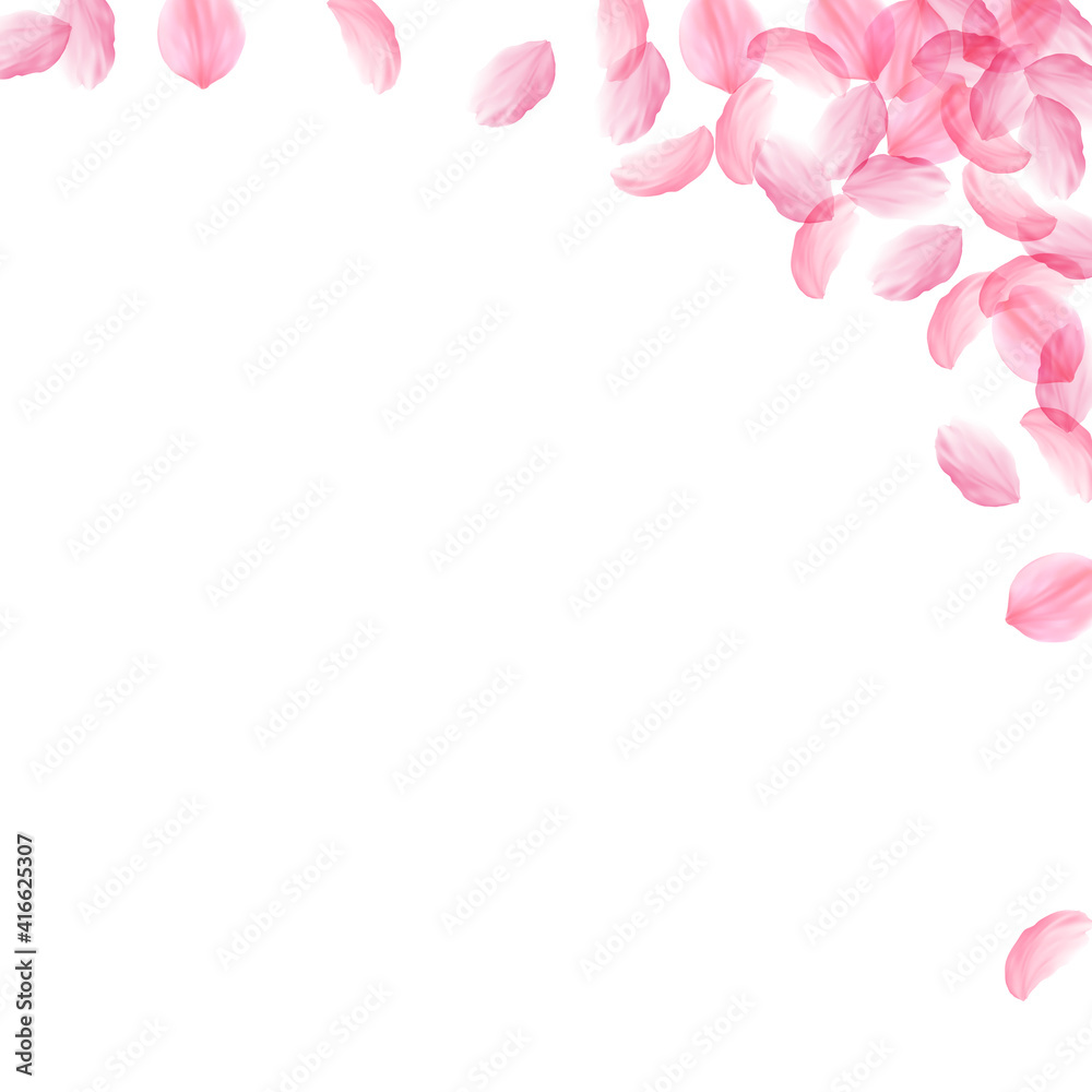 Sakura petals falling down. Romantic pink silky big flowers. Thick flying cherry petals. Square righ