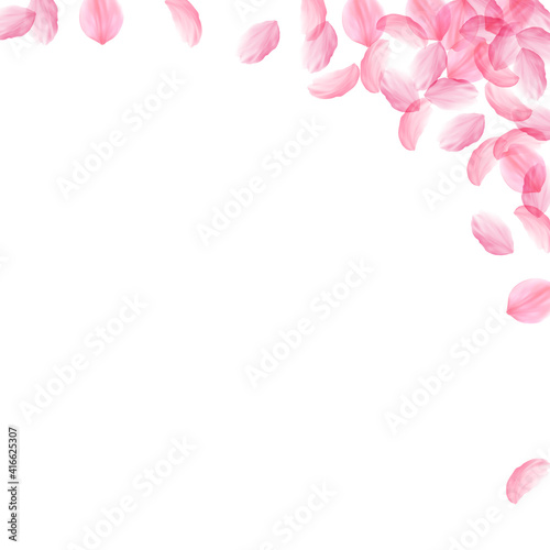 Fototapeta Naklejka Na Ścianę i Meble -  Sakura petals falling down. Romantic pink silky big flowers. Thick flying cherry petals. Square righ