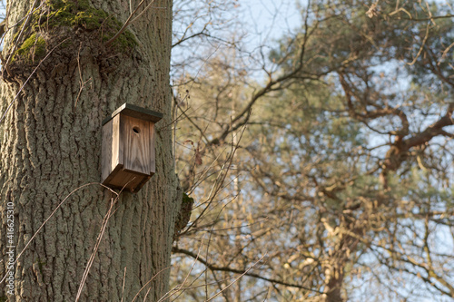 Birdhouse on a tall tree in the park in spring time © KiNOVO