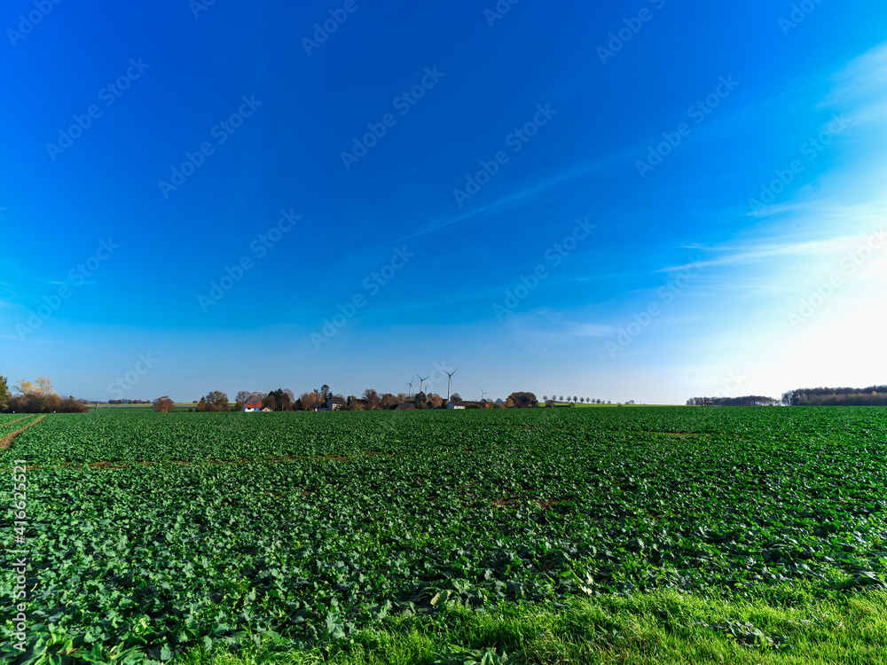 blue sky in a field near the city blue sky in a field near the city
