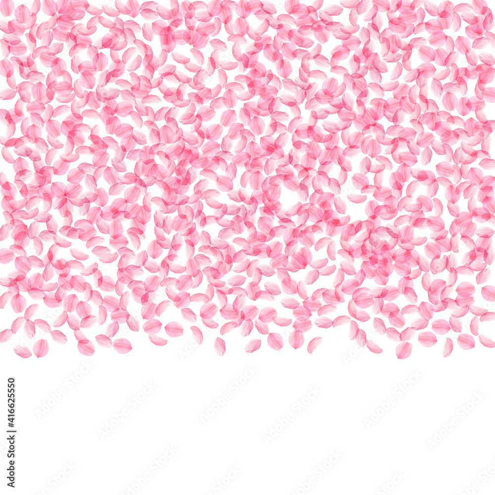 Obraz premium Sakura petals falling down. Romantic pink silky small flowers. Thick flying cherry petals. Top gradi
