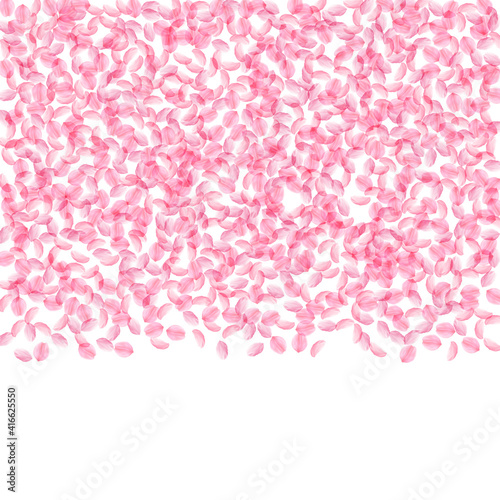 Sakura petals falling down. Romantic pink silky small flowers. Thick flying cherry petals. Top gradi