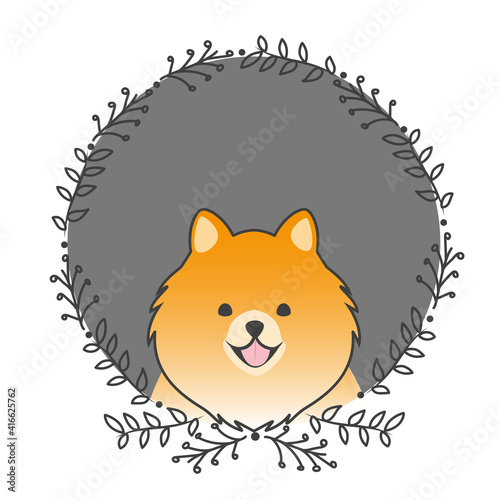 Cute Pomeranian puppy vector. Spitz dog cartoon illustration. 