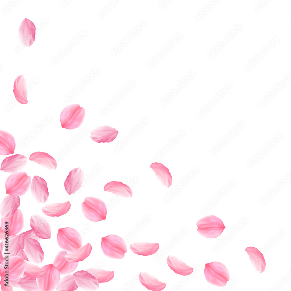 Sakura petals falling down. Romantic pink bright big flowers. Thick flying cherry petals. Scattered Sakura petals falling down. Romantic pink bright big flowers. Thick flying cherry petals. Scattered