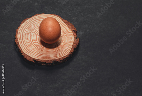 Organic gaina egg in rustic setting on wooden slice with black background photo