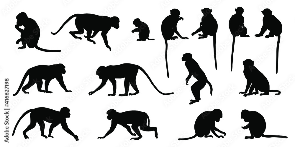 various macaque silhouettes on the white background