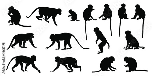 various macaque silhouettes on the white background photo