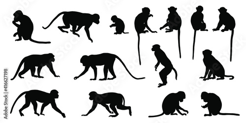 various macaque silhouettes on the white background