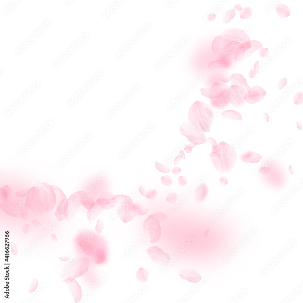 Sakura petals falling down. Romantic pink flowers corner. Flying petals on white square background.