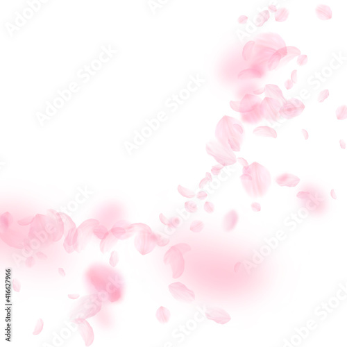 Sakura petals falling down. Romantic pink flowers corner. Flying petals on white square background. © Begin Again