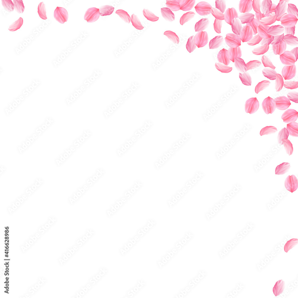 Sakura petals falling down. Romantic pink bright medium flowers. Thick flying cherry petals. Square