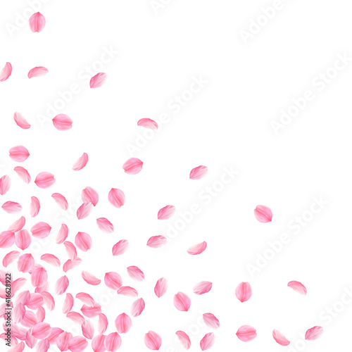 Sakura petals falling down. Romantic pink bright medium flowers. Thick flying cherry petals. Scatter