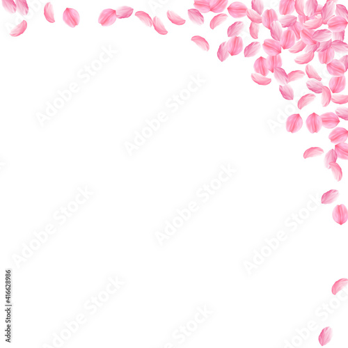Sakura petals falling down. Romantic pink bright medium flowers. Thick flying cherry petals. Square