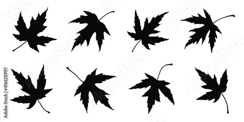 various maple silver silhouettes on the white background photo