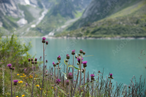 Beautiful mountain lake Gelmersee in Bern Switzerland photo