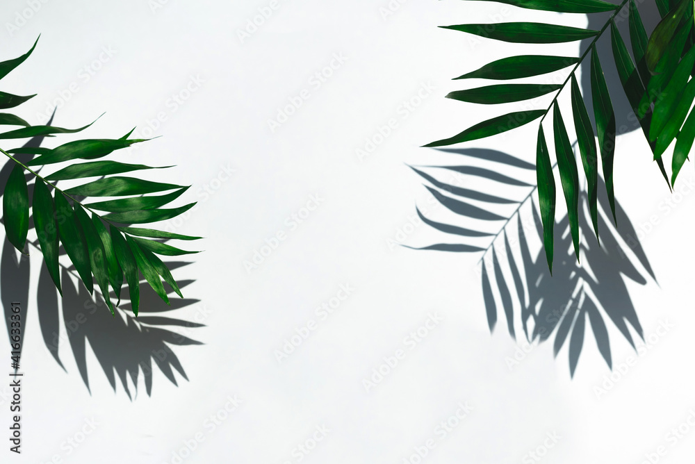 Empty  scene product. Green tropical leaf shadow on white background.  Minimal summer concept. 