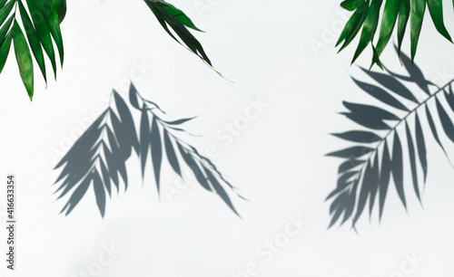 Empty scene product. Green tropical leaf shadow on white background. Minimal summer concept. 