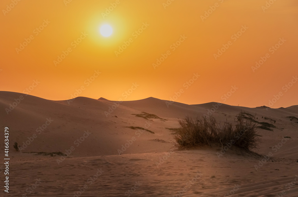 Desert landscapes different parts of the world Desert landscapes different parts of the world