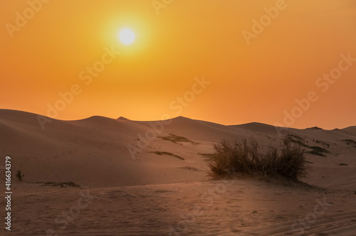 Desert landscapes different parts of the world