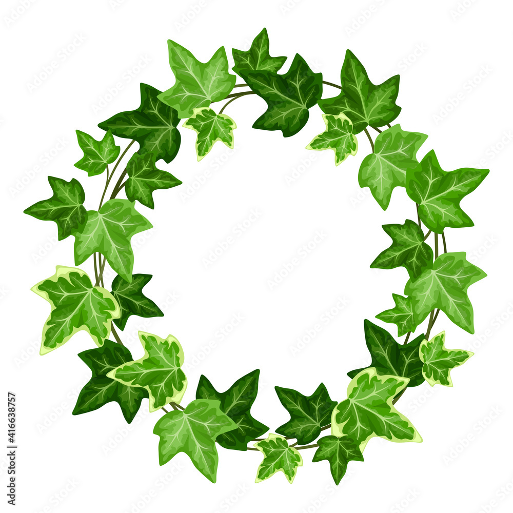 Fototapeta premium Vector wreath with green ivy (hedera helix) leaves.