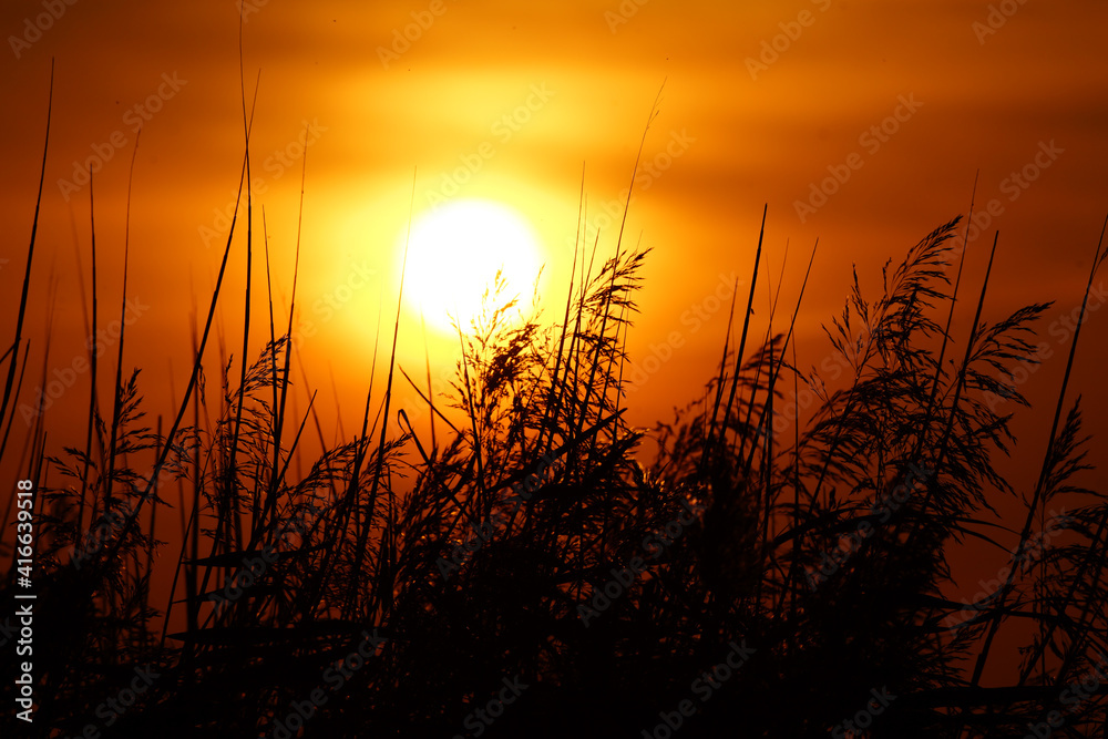 sunset sunset