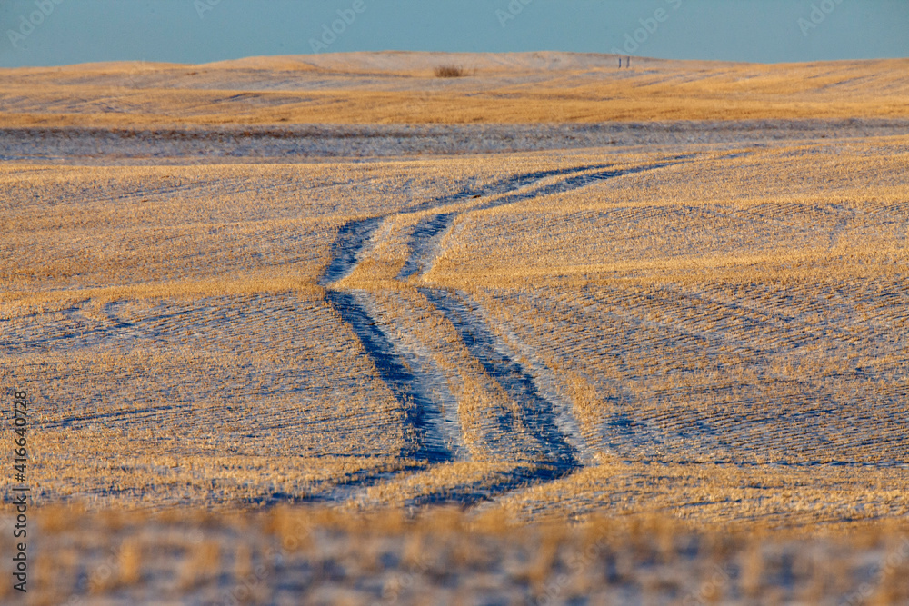 Fototapeta premium Prairie Winter Scene