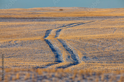 Prairie Winter Scene