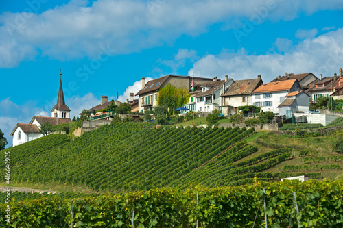 Wine-growing Municipality Fechy, Vaud, Switzerland