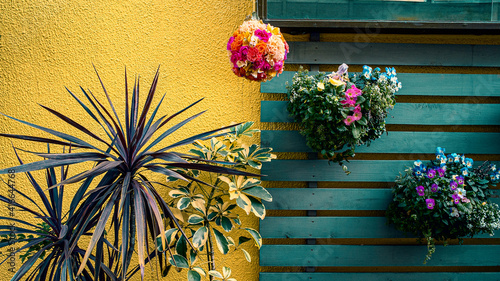 鉢植えの花のあるカラフルな風景のスナップショット