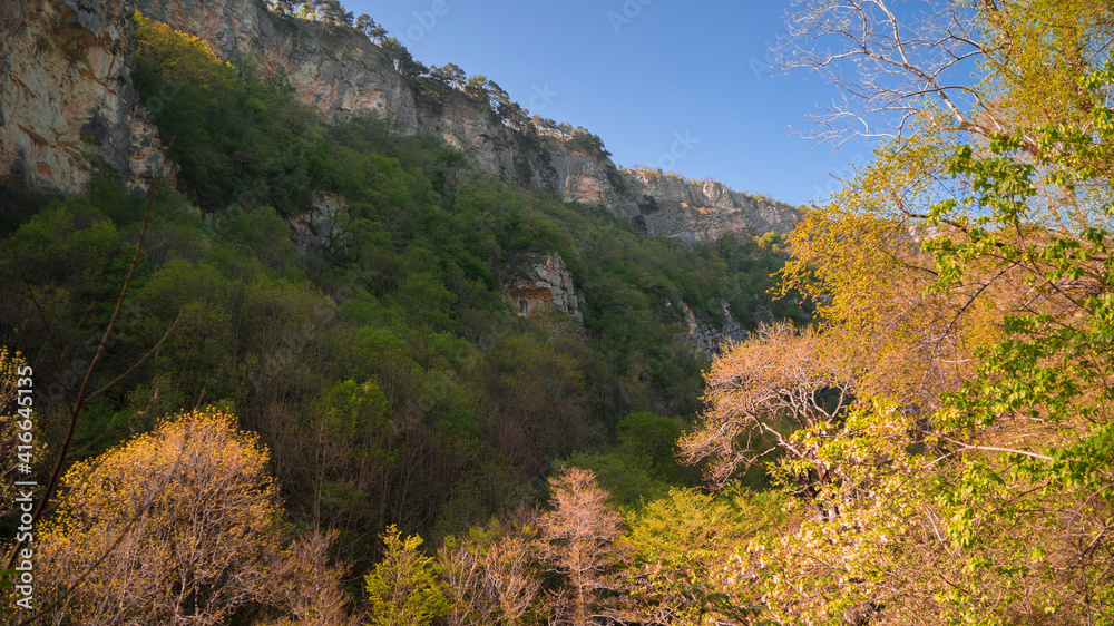 autumn forest in the mountains