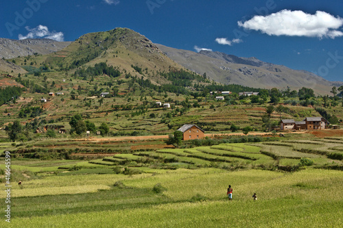 Colorful Betsileo dwellings dot a landscape of lush green rice paddies in the central highlands of Madagascar.