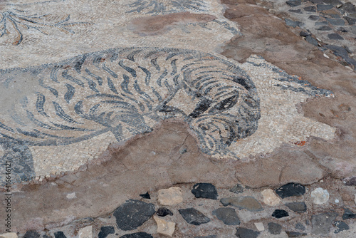 Zebra mosaic in the Byzantine Agora area of Beit She`an National Park in Israel © Barbara