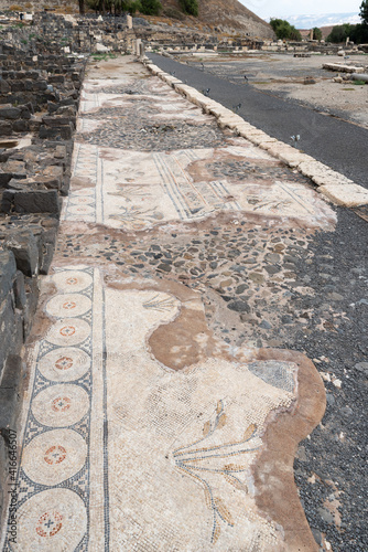 Plant mosaics in the Byzantine Agora area of Beit She'an National Park in Israel