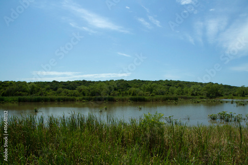 Tropical rainforest landscape. Panorama view of the beautiful green forest foliage, lake and reeds under a blue sky.