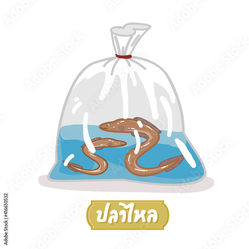 releasing fish is one of the Buddhist activities in Thai Language it mean “releasing fish”