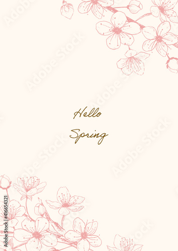 hand drawn cherry blossoms flower pink frame02, spring vector design for message card.