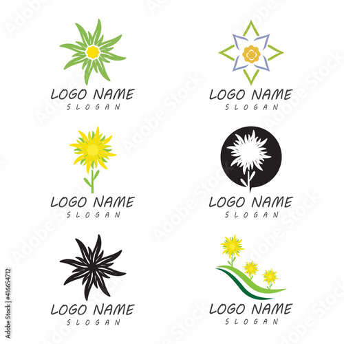 Edelweiss Logo Template vector symbol nature