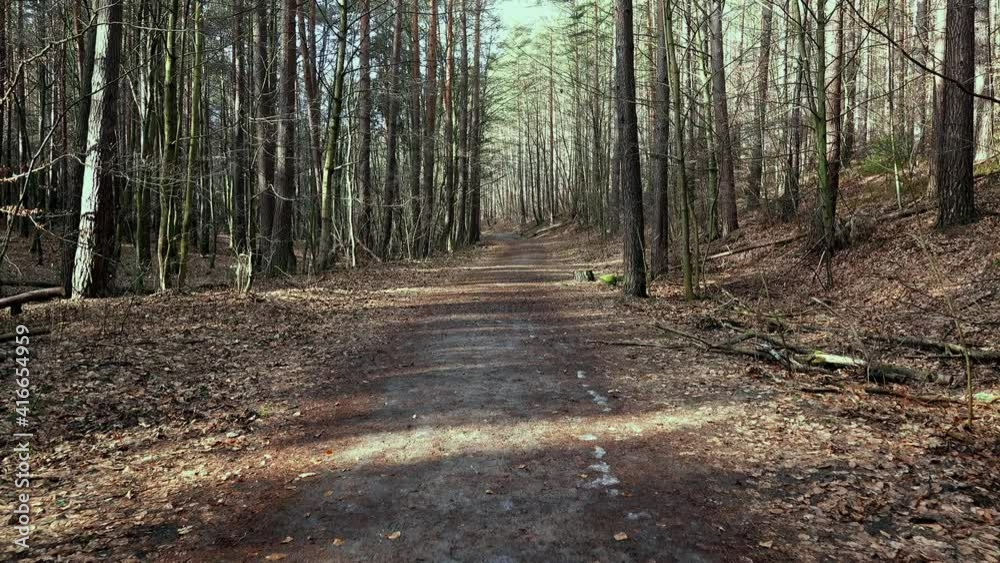 Ground Road Through Autumn Spring Forest Covered With Brown Withered Leaves Push In Ground Road Through Autumn Spring Forest Covered With Brown Withered Leaves Push In