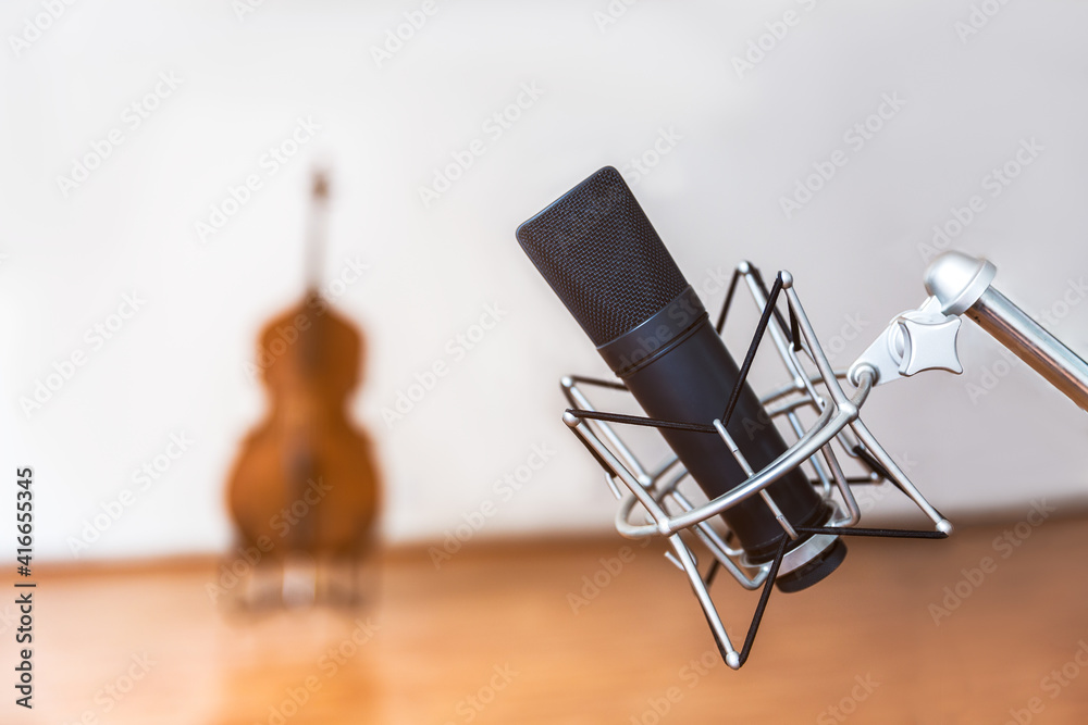 Close-up of a microphone. Behind is a unfocussed double bass