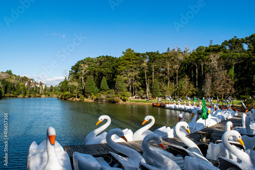 Pedalinhos de Cisne no Lago Negro em Gramado, Brasil photo