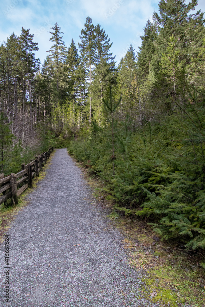 path in the woods