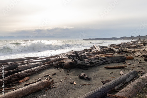 Lots of driftwood on the beach at Coburg Peninsula in Colwood, British Columbia, Canada
