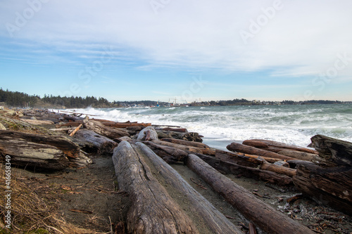 Driftwood on the beach and big waves in the Salish Sea at Coburg Peninsual near Victoria, British Columbia, Canada